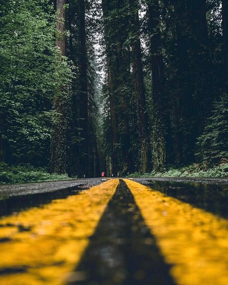 How to Take Stunning Travel Photos: The Ultimate Guide for Every Traveler 6 Deep depth of field
