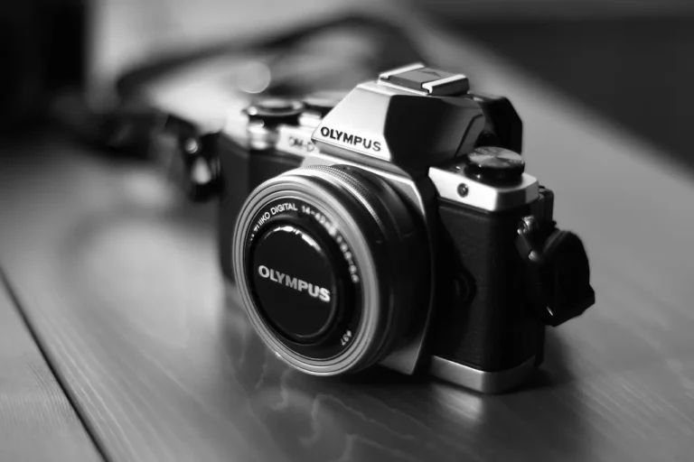 One Mirrorless Camera That Makes Travel Photos Easy 2 Mirrorless Cameras for travel