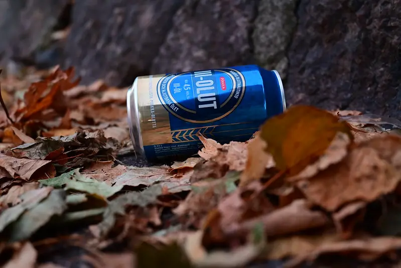 Sample Picture of Nikon Z5