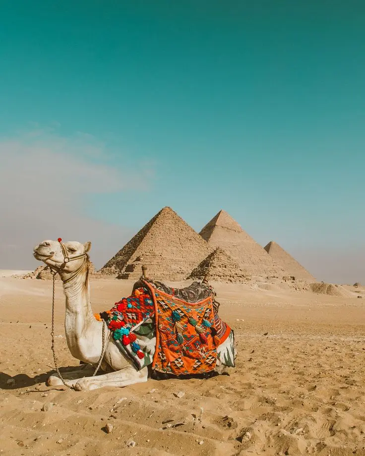 Top Places to Visit in Cairo, Egypt: The Ultimate Travel Guide to Ancient Wonders & Modern Charms 2 The pyramids perhaps showing capturing a rare moment with a camel
